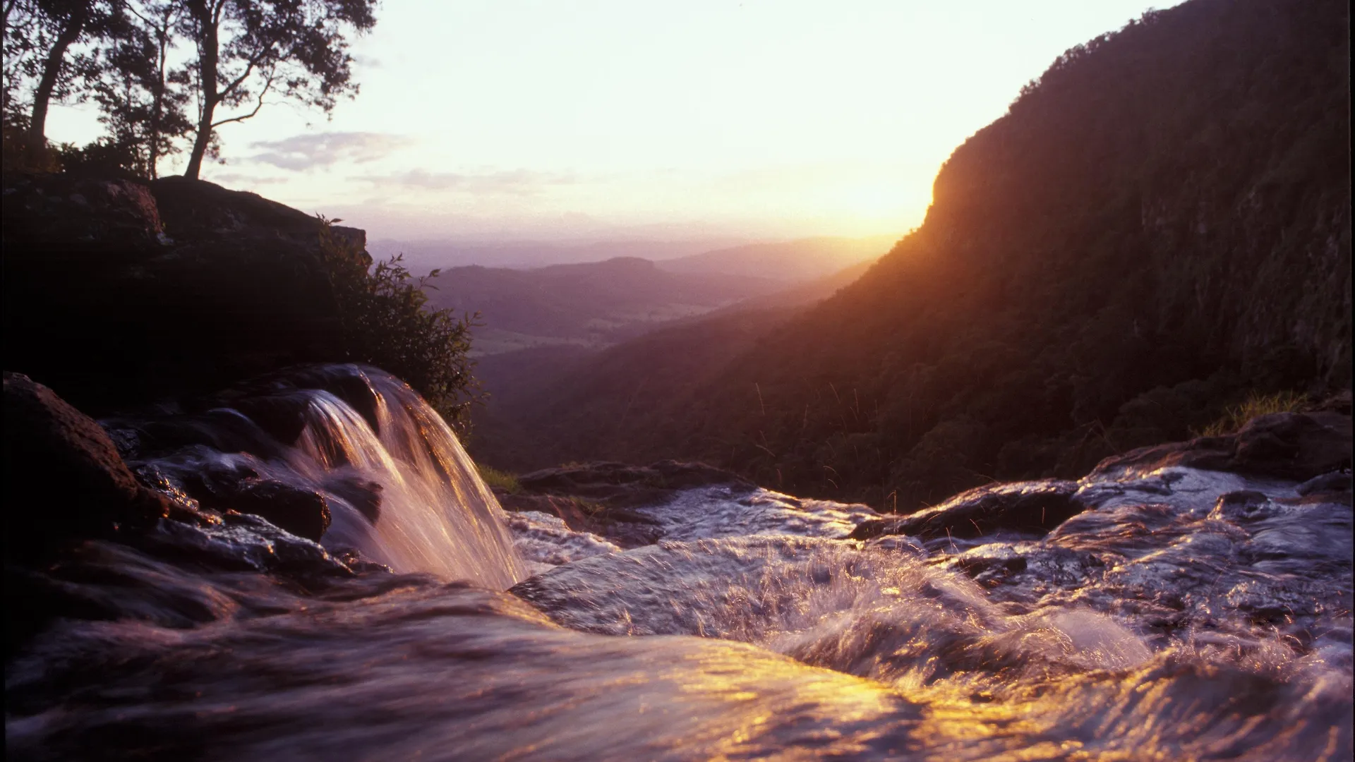 O'Reilly'S Rainforest Retreat Ξενοδοχείο Canungra