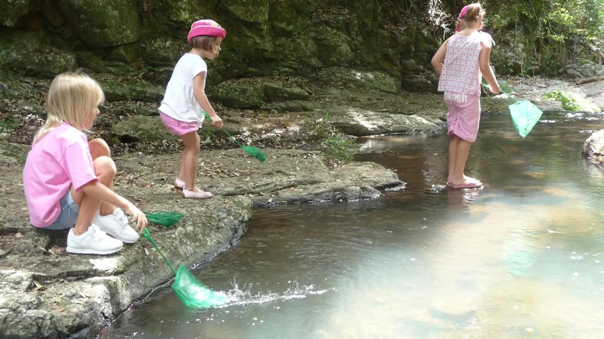 ***  O'Reilly'S Rainforest Retreat Hotel Canungra Australien