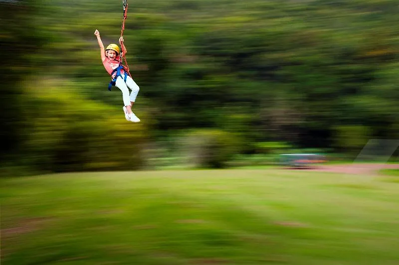 O'Reilly'S Rainforest Retreat Hotel Canungra