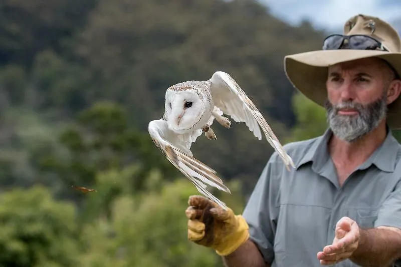 O'Reilly'S Rainforest Retreat Canungra 3*,