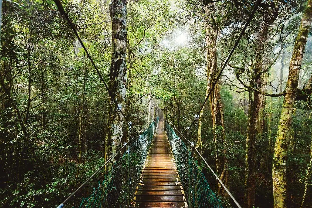 O'Reilly'S Rainforest Retreat Hotel Canungra