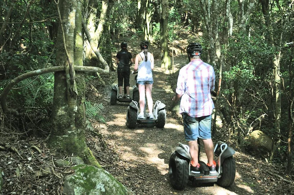 O'Reilly'S Rainforest Retreat Hotel Canungra