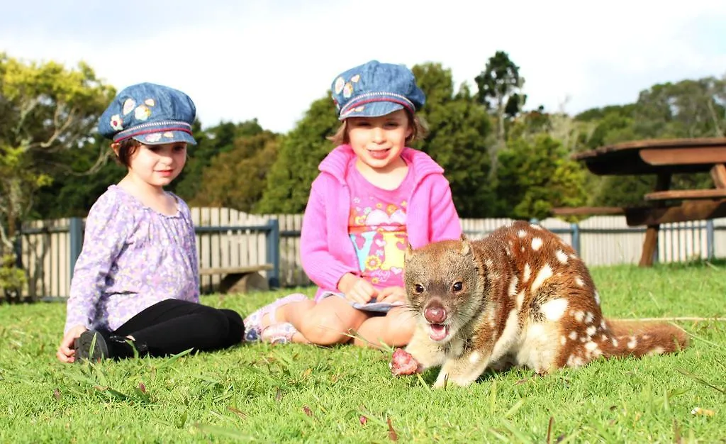 O'Reilly'S Rainforest Retreat Hotel Canungra